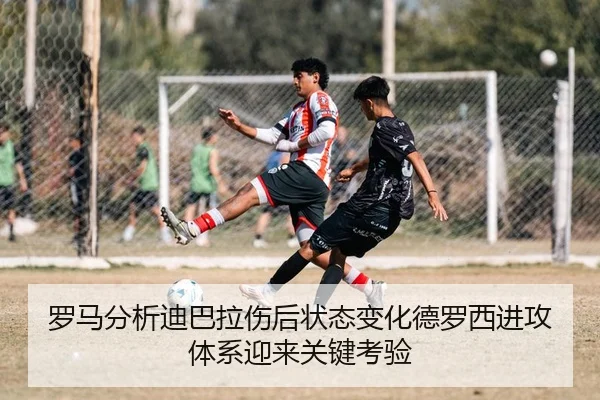 img_1783037445601_2561_1_819.jpg
